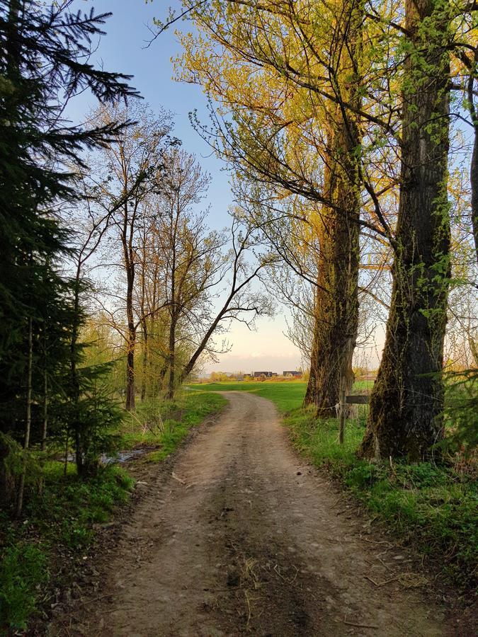 Апартаменты Pokoje Pod Bocianem Хохолув Экстерьер фото